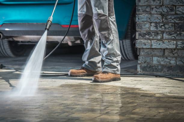Best Gutter Cleaning  in Tice, FL